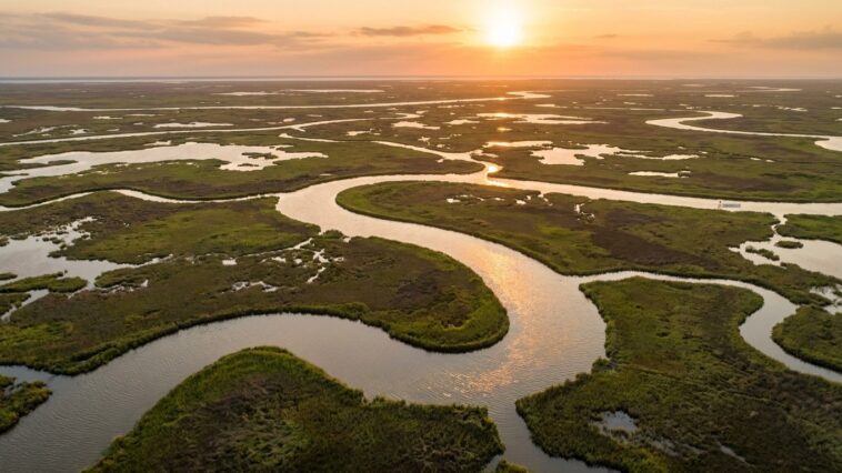 Fini la pointe du Texas pour Starship : en 2026, 50 585 hectares de marais bouleversent tout le programme
