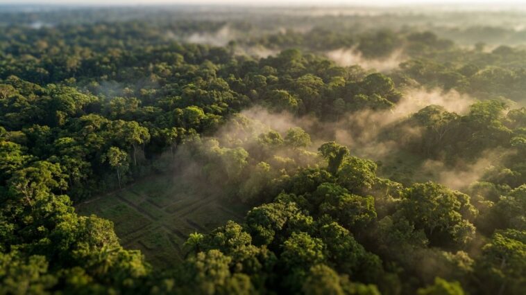 Sous la canopée du sud-ouest de l'Amazonie dorment plus de 20 000 constructions qu'aucune carte n'avait jamais montrées