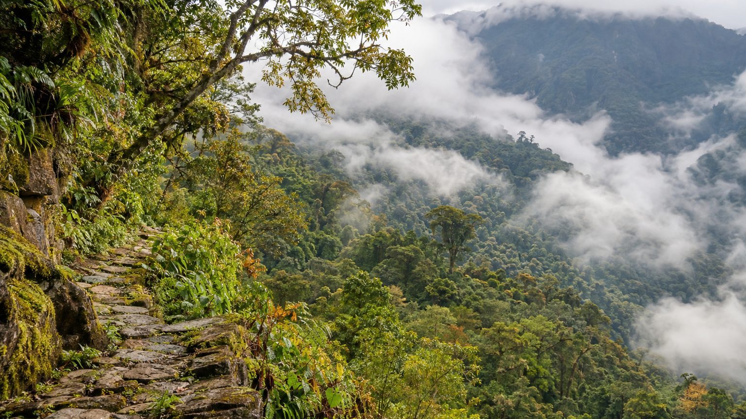 J'ai grimpé jusqu'au Machu Picchu en pensant avoir tout vu de la citadelle : le jour où le LiDAR a percé la forêt tout aut...